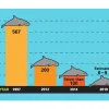 A graph showing the population decline of vaquitas from 1997 to 2019. In 1997, there were 567 vaquitas. In 2012, there were 200. By 2014 there were fewer than 100, and by 2019 there was an estimated 6 to 9 vaquitas left.