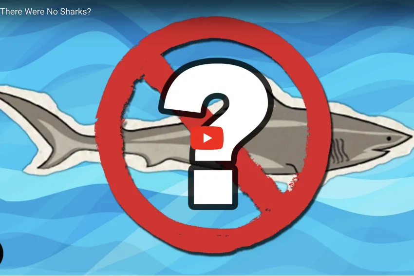 A screenshot from the video asking what if there were no sharks. 