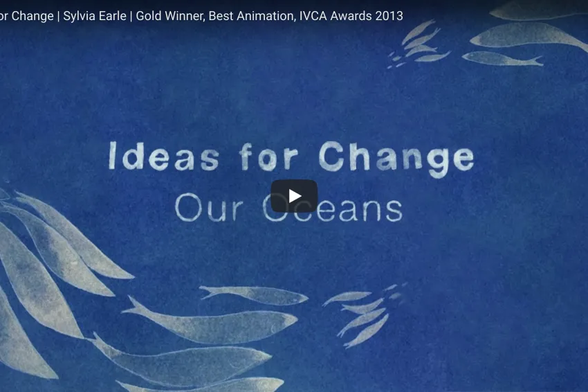 A screenshot from the video "Ideas for Change" showing white ocean illustrations.