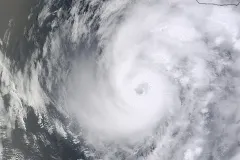 Hurricanes hurt humans and marine life.