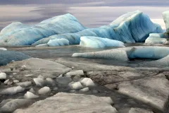On average, Arctic sea ice has decreased by four percent per decade since the late 1970s.