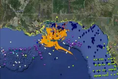 The National Museum of Natural History's Department of Invertebrate Zoology has developed an online map that provides information about invertebrates in the National Collection from areas impacted by the oil spill.