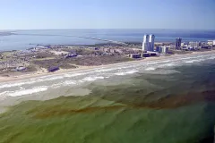 A bloom of algae from up above