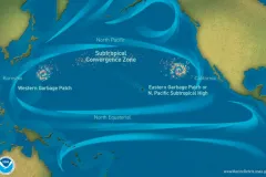The currents of the North Pacific gyre collect trash—mostly bits of microscopic plastic—into what are known as "garbage patches."