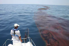 Mark Dodd, a wildlife biologist from Georgia's Department of Natural Resources, surveying oiled sargassum seaweed in the Gulf of Mexico after the Deepwater Horizon oil spill in 2010.