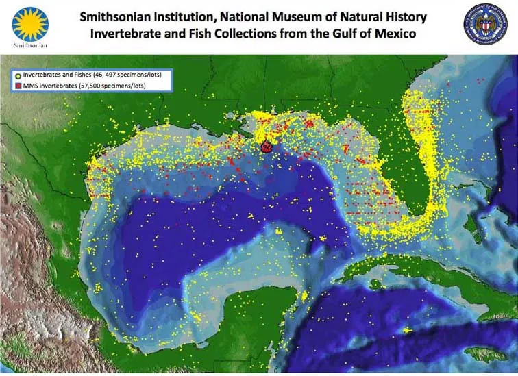 This map shows the localities represented by the Gulf of Mexico collection of the Smithsonian Institution’s National Museum of Natural History.