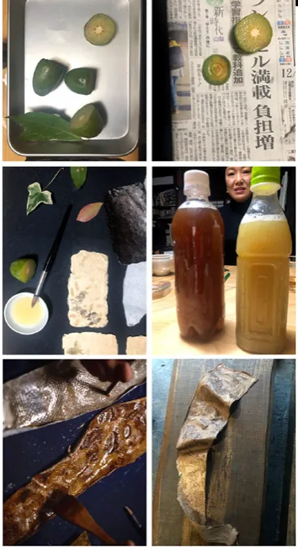 A series of six images depicting the Kakishibu dyeing process. The top two images show slices of persimmons, the middle two show the brown shades of juice distilled from the fruit, and the bottom two show a swatch of fish skin being dyed brown with the juice.
