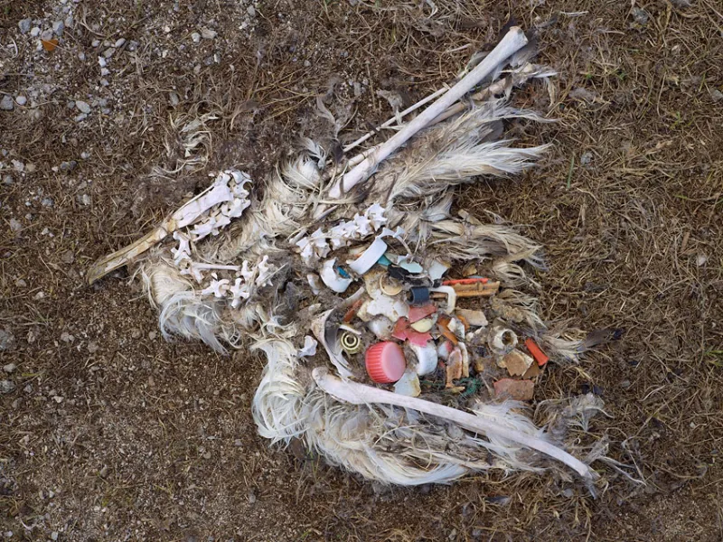 The plastic includes big pieces, such as bottle caps and cigarette lighters, as well as plastic confetti, indiscernible to the human eye.