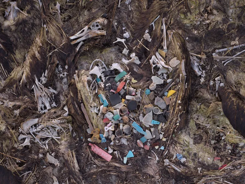 Much of the plastic comes from litter on land, which washes down storm drains and eventually makes it to the ocean. Some bits are from fishing nets and lines discarded by fishing boats.