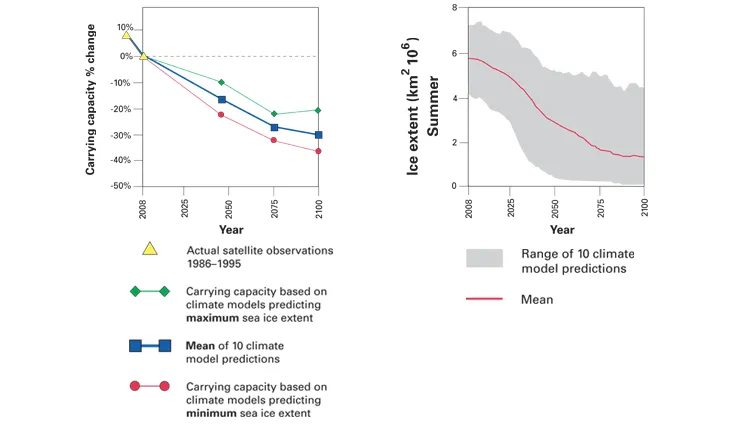 Scientists document a direct relationship between Arctic sea ice and polar bear survival.