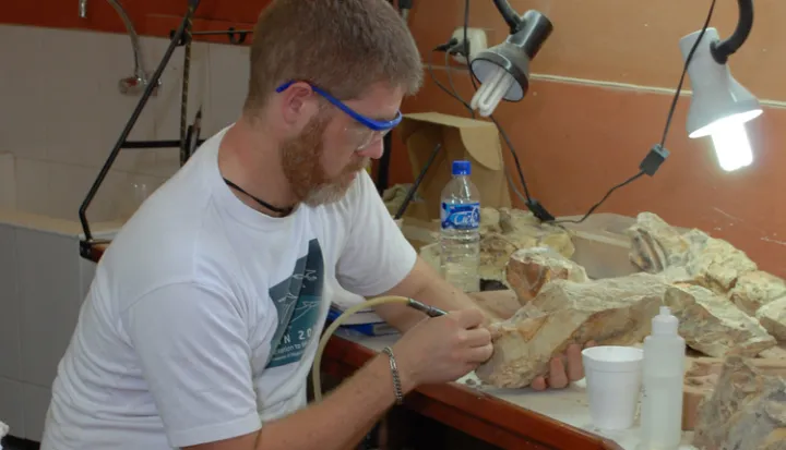 Paleobiologist Mark D. Uhen drills away rock to reveal the fossilized bones of Peruvian archaeocetes (ancient whales), in&nbsp;the Vertebrate Paleontology Department at the Museo de Historia Natural de San Marcos. Uhen is a professor at George Mason Univer